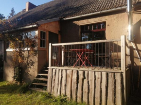 Ferienhaus Caselow 23A in Bergholz